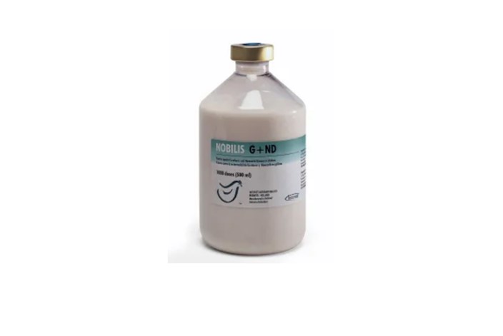 Nobilis G+ND