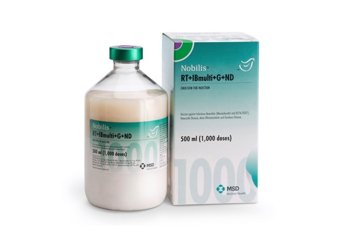 Nobilis RT+IBmulti+G+ND