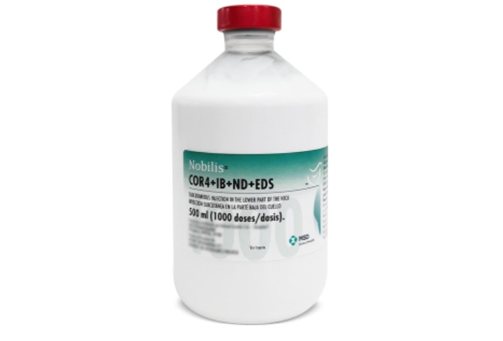 Nobilis COR4+IB+ND+EDS