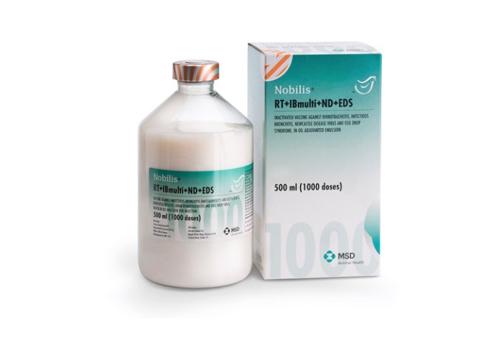 Nobilis RT+IBmulti+ND+EDS