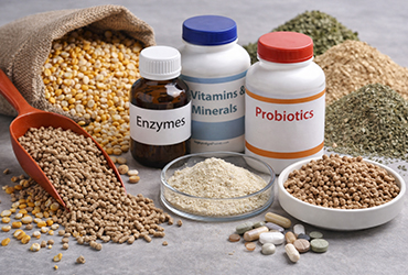 Yem Katkı Maddeleri